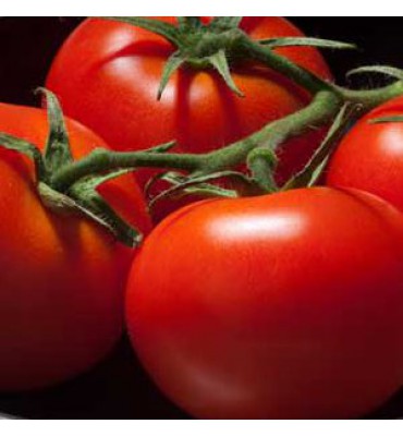 Tomat "Vilja"